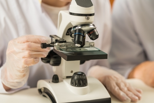 ひめの華の研究成果