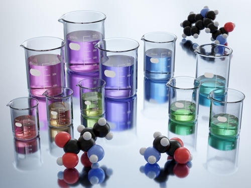 ひめの華を別府大学が研究